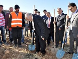 "Üniversitede, Senin De Bir Ağacın Olsun" Kampanyası