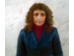 Kck'nın Kadın Kolu Sorumlusu Yakalandı