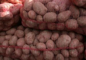 Hatay’da 50 ton kaçak patates