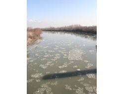 Karasu Nehri Soğuktan Buz Tuttu