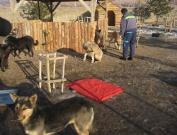 Sibirya Soğukları Erzurum'da..