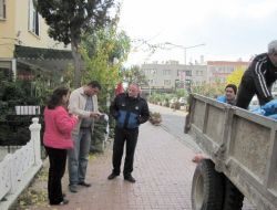 Altınoluk Belediyesi, 800 Aileye Kömür Dağıtmaya Başladı