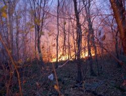 Sapanca'da Orman Yangını