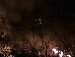 Giresun'da Korkutan Yangın