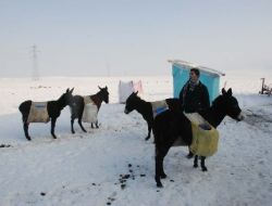 Muş’ta Şebeke Suları Dondu