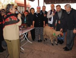 Kerbela Şehitleri İçin 5 Bin Kase Aşure