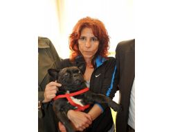 Antalya'da Haczedilen Köpek