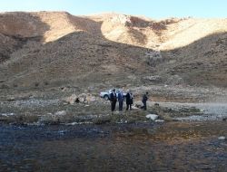 Hakkari Arı Ormanı İle Kalkınacak