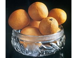 Rusya 25 Ton Portakalı Türkiye’ye Gönderdi