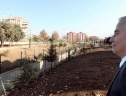 Zeytinköy’e 25 Bin Metrekarelik Park Yapılıyor