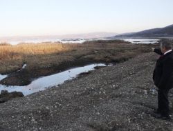 Ladik Gölü’nde Yüzen Adalar Yok Olmaktan Kurtarılacak