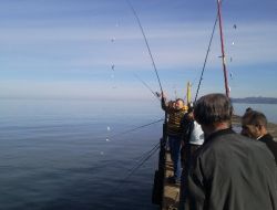 Karadeniz'de İstavrit Bereketi, Çaparalar Doldu