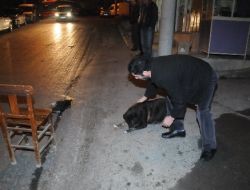 Otomobilin Çarptığı Yavru Köpek Öldü, Annesi Başından Ayrılmadı