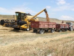 Polatlı Borsası 2011 Yılında Yüzde 15 Büyüdü