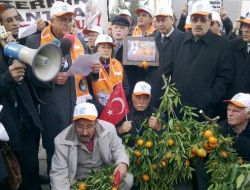 Bakanlık Önünde 'Mandalinalı' Eylem