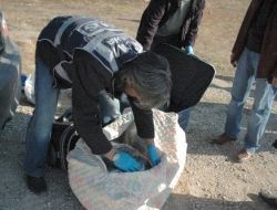 Kırşehir'de 50 Kilo Esrar Ele Geçirildi