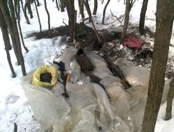 Bingöl'de Pkk'nın Sığınağı İmha Edildi