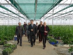 Seracılık Yüzde 50 Hibe Projesiyle Gelişiyor