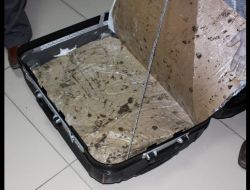 Türk-Alman Polisi Çeteyi Çökertti