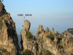 İlginç Hayvan Figürlerinin Bulunduğu Kanyon Piknik Alanı Yapılacak