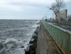 Lodos, Marmara’da Etkisini Artırdı