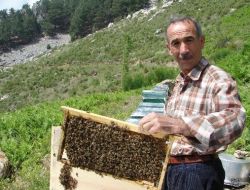 Manavgat'ta Bal Üretimi 3 Yıl İçinde 105'ten 215 Tona Ulaştı