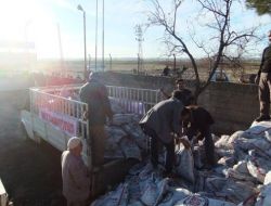 Suruç Kaymakamlığı'ndan İhtiyç Sahibi Öğrencilere Kömür Yardımı