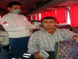 Cilvegözü Sınır Kapısı'nda Domuz Gribine Karşı Etkin Mücadele Sürüyor