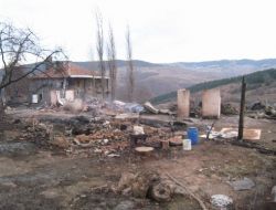 Sinop Kızılayı'ndan Yangın Bölgesine Yardım Eli