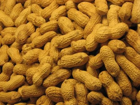 1 ton taklit edilmiş yer fıstığı