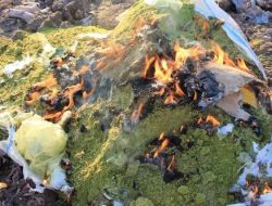 Osmaniye'de 1 Ton Taklit Edilmiş Yer Fıstığı Ele Geçirildi