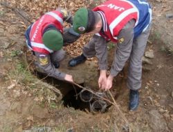 Kaçak Kazı Yapan 10 Kişi Yakalandı