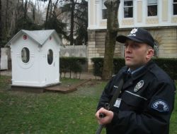 Mecliste Görevi Devralan Polis, Dolmabahçe Sarayı'nda Da Nöbete Başladı
