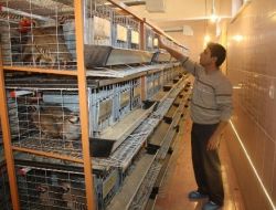 Keklik Üretim İstasyonu Hedefini Yüzde 50 Aştı