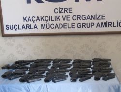 Cizre’de 39 Adet Tabanca Ele Geçirildi