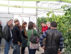 Sera Ve Sulama Sistemini İncelemek İçin Yunanistan'a Çalışma Ziyareti