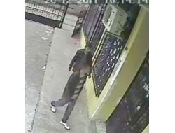 Papağan Hırsızları Yakalandı