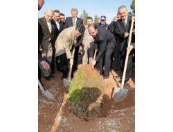 Şanlıurfa'yı Yeşillendirmek İçin 75 Bin Ağaç Dikilecek