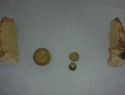 Valizinden Tunç Çağı'na Ait Tarihi Eserler Çıktı