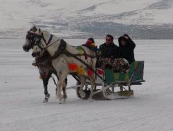 Buz Tutmuş Göl Üzerinde Atlı Kızak Heyecanı