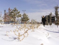 CİHANBEYLİ BEYAZA BÜRÜNDÜ