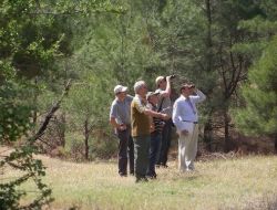 Türkiye'de Her Yıl 20 Bin Ağaç Sağlık Kontrolundan Geçiriliyor