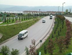 Tem Otoyolu'nun Kenarlarına 369 Bin Fidan Dikildi