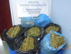 Malatya'da 76.6 Kilo Esrar Ele Geçirildi