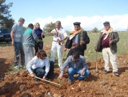 Yerleşik Yabancılar, Yılbaşı Öncesi Yörüklerle Birlikte Çam Fidanı Dikti