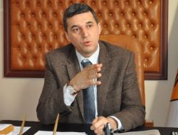 Orman Bölge Müdürü Ateş: Çam Ağacı Kesmeyin, İsteyene Biz Verelim