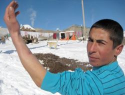 Başıboş Köpekler Çatalörenlilerin Huzurunu Kaçırdı