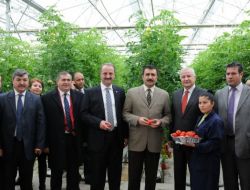 Öğretmenler, Mamak Çöplüğü'nde Geri Dönüşümü İnceledi