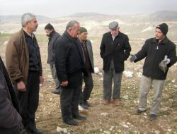 Beypazarı'nda Tarla Fareleri İle Mücadele Çalışmaları Başladı