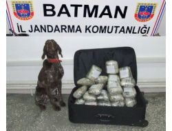 Batman'da 20 Kilo Esrar Ele Geçirildi